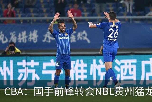 CBA：国手前锋转会NBL贵州猛龙，王少杰前往江苏男篮，吉林大将签约宁波，胡金秋预计留队